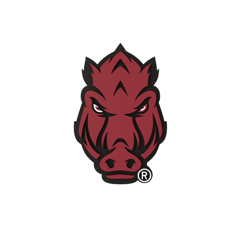 Arkansas Razorbacks