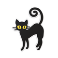 Black Cat